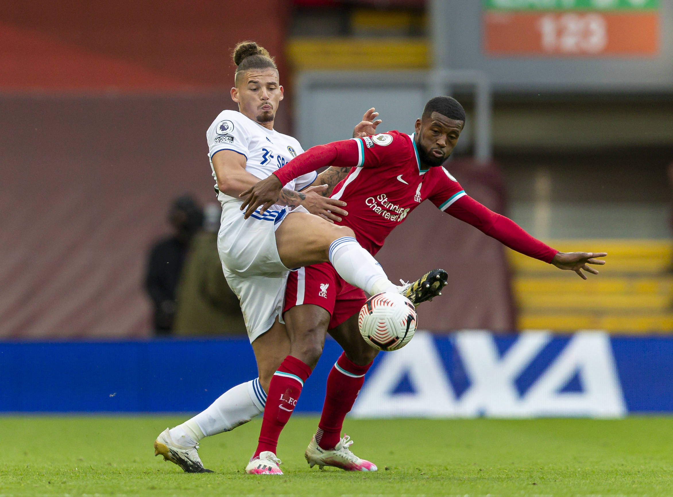 满足的老年 满足的老年